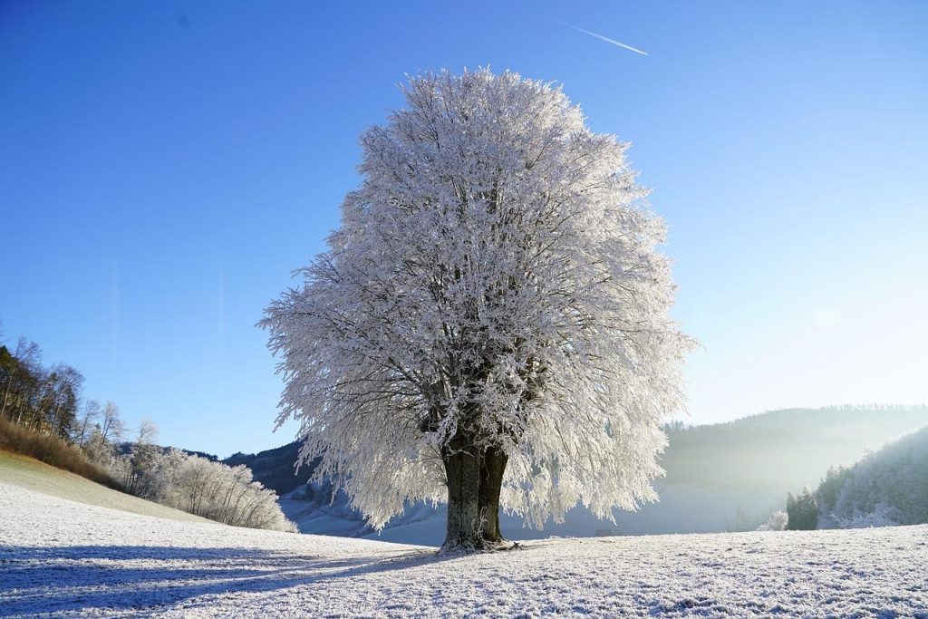 Besneeuwde bergen en bossen vormen een winterwonderland voor wintercamping in rustige, serene omgeving
